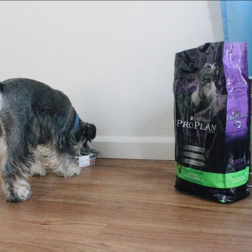 Photo of PRO PLAN® SPORT® ALL LIFE STAGES Advance 28/18 Formula Chicken Flavor uploaded by SIMON V.
