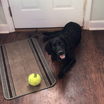 Photo of PURINA® DOG CHOW® Complete Adult With Real American-Raised Chicken uploaded by Lianne K.