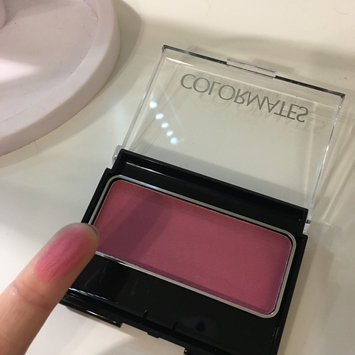 Photo of Colormates Blush & Brush Blushed Pack of 4 uploaded by Hannah J.