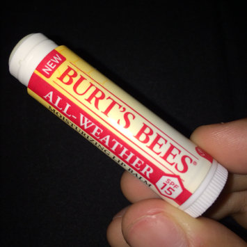 Photo of Burt's Bees All-weather SPF 15 Moisturizing Lip Balm uploaded by Feliciano Y.