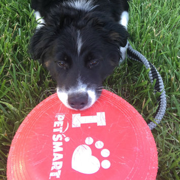 Photo of PetSmart uploaded by Lindsay R.