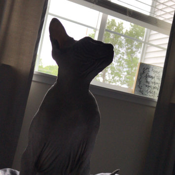 Photo of TEMPTATIONS™ Snacky Mouse Cat Toy uploaded by Melanie H.