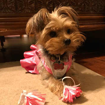 Photo of PetSmart uploaded by Priscilla G.