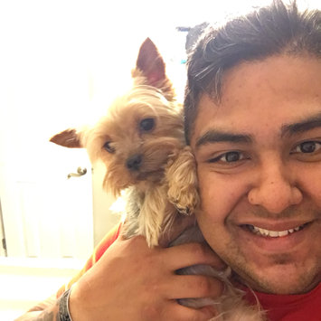 Photo of Royal Canin® Yorkshire Terrier 28™ Adult Dog Food 10 lb. Bag uploaded by Justin J.
