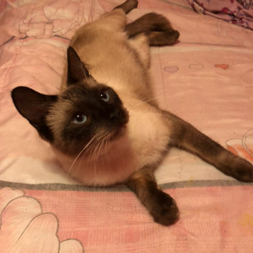 Photo uploaded to TEMPTATIONS™ Classic Treats For Cats Seafood Medley Cat Treats by Emily S.