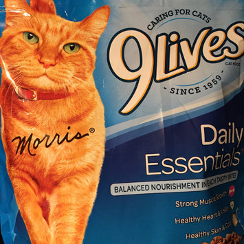 Photo of 9Lives Daily Essentials Dry Cat Food, 12-Pound uploaded by Jessica T.