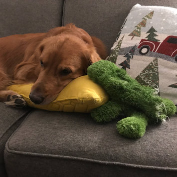 Photo of Kong Company - Cozie Ali-gator- Assorted Medium - ZY2 uploaded by Ashley K.