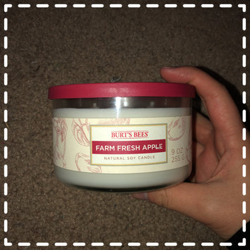 Photo of Blyth Home Scents 111217 Burts Bees Farm Fresh Apple Small Jar Candle Pack of 4 uploaded by Annie N.