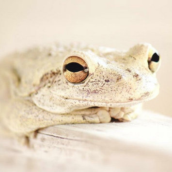 Photo of Canon EOS Rebel T2i uploaded by Cassidy M.