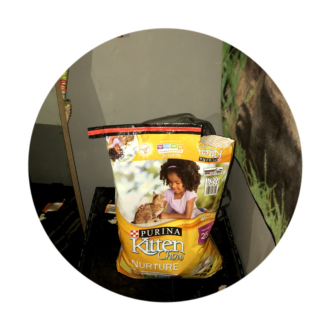 Purina Kitten Chow Nurture Cat Food 14 lb. Bag Reviews 2019