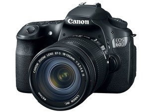 Photo of Canon EOS Rebel 60D 18MP Digital SLR Camera with 18-135mm IS Lens - uploaded by Elizabeth B.