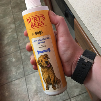 Photo of Burt's Bees Burts Itch Soothing Dog Spray uploaded by Tayler C.