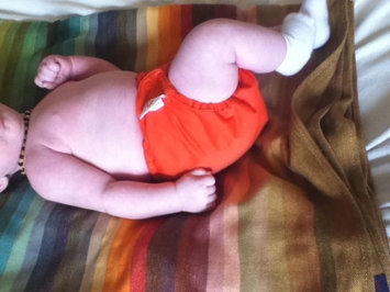 Photo of Bumgenius Cloth Diapers uploaded by Jennifer B.