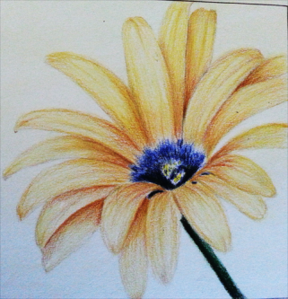 Photo of Sanford Prismacolor Premier Colored Pencils Set uploaded by Anna M.
