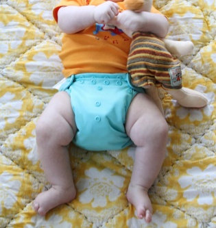 Photo of Bumgenius Cloth Diapers uploaded by Madison P.