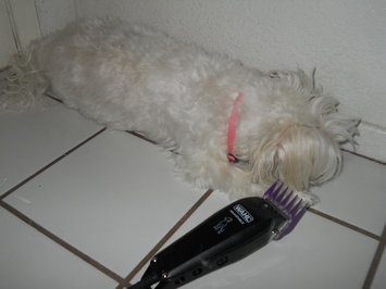 Photo of Wahl Pet Clipper Kit uploaded by Yesenia S.