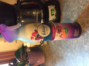 Photo of Air Effects Febreze® Air Effects Gain® Moonlight Breeze Air Freshener (2 Count, 19.4 oz) uploaded by Katie H.