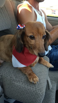 Photo of ASPCA uploaded by Kendall G.