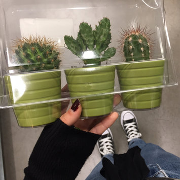 Photo of IKEA uploaded by Diana๐ฟ๐ฟ๐ฟ๐ฟ๐ฟ๐ฟ๐ฟ๐ฟ๐ฟ๐ฟ๐ฟ G.