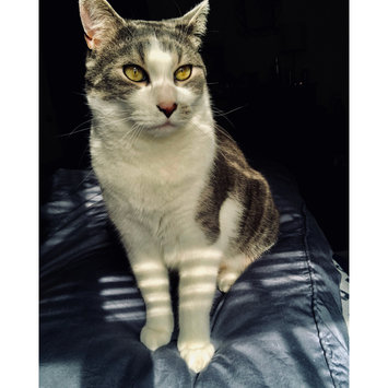 Photo of Purina® DentaLife Chicken Dental Cat Treats uploaded by Melissa A.