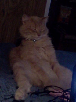 Photo of Humane Society of the United States uploaded by Stephanie W.