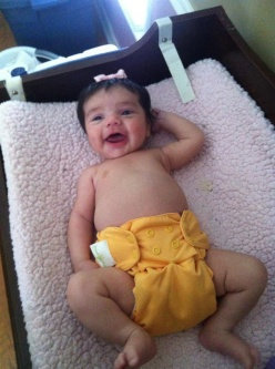 Photo of Bumgenius Cloth Diapers uploaded by Aimee L.