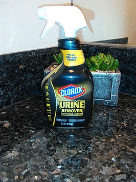 Photo of Clorox® Urine Remover uploaded by Rocksi R.