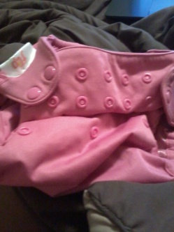 Photo of Bumgenius Cloth Diapers uploaded by Domonique C.