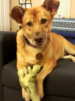 Photo of ASPCA uploaded by Christen T.