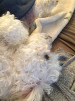 FRONTLINE TRITAK Dog Flea Treatment uploaded by Scarlet R.