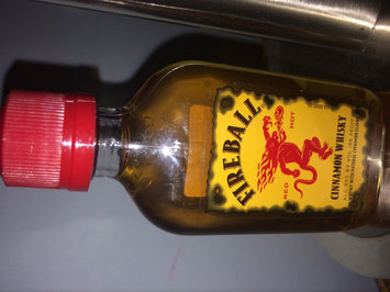 Photo of Fireball Cinnamon Whisky uploaded by Riany L.