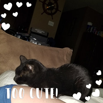 Photo uploaded to #NationalPetDay by winter c.