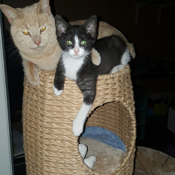 Photo uploaded to #NationalPetDay by Nicole S.