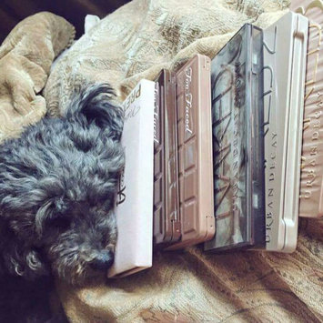Photo uploaded to #NationalPetDay by Amanda H.