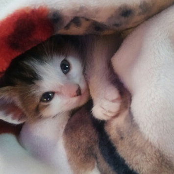 Photo uploaded to #NationalPetDay by Samantha R.