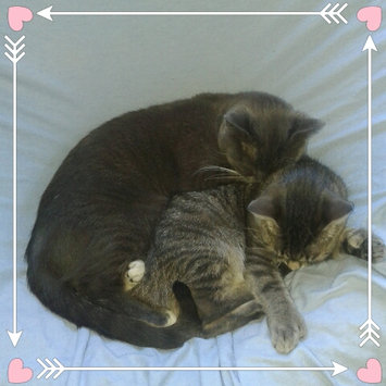Photo uploaded to #NationalPetDay by Helen W.