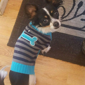 Photo uploaded to #NationalPetDay by Carla R.