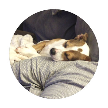 Photo uploaded to #NationalPetDay by Sabrina G.