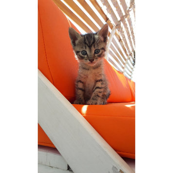 Photo uploaded to #FurryFriends by Xristina L.