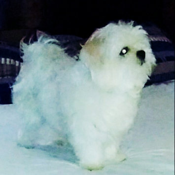 Photo of Pup-Peroni® Original Bacon Flavor Dog Snacks, 10-Ounce uploaded by Viry F.