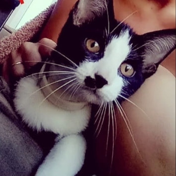 Photo uploaded to #FurryFriends by Kristy G.