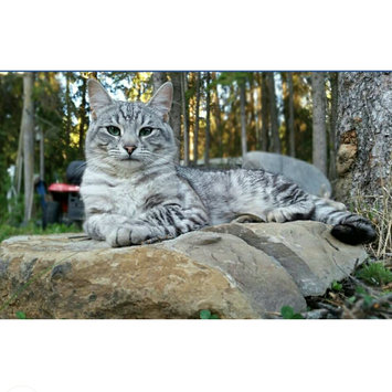 Photo uploaded to #FurryFriends by Summer B.