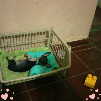 Photo uploaded to #FurryFriends by gorgeous pamela S.
