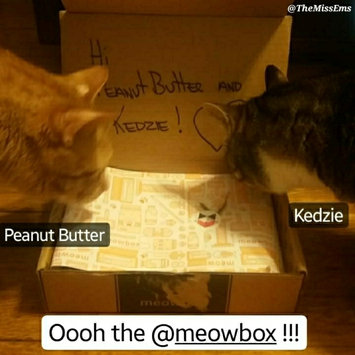 Photo uploaded to #FurryFriends by Emily E.