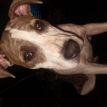 Photo uploaded to #FurryFriends by Windy G.