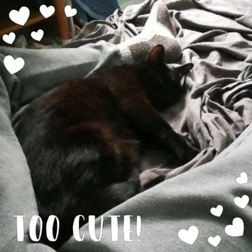 Photo uploaded to #FurryFriends by Ashley R.