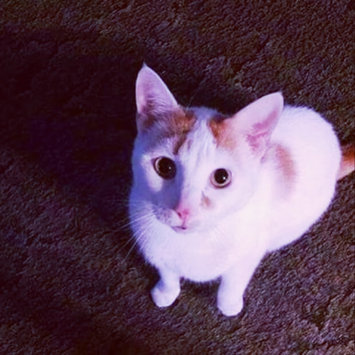 Photo uploaded to #FurryFriends by 👑Carli-B (.