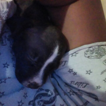 Photo uploaded to #FurryFriends by Connie P.
