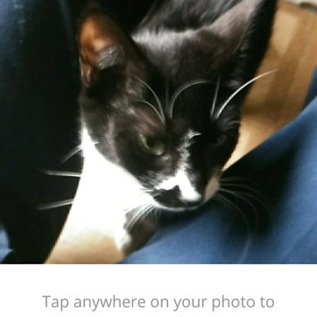 Photo uploaded to #FurryFriends by nephthys p.