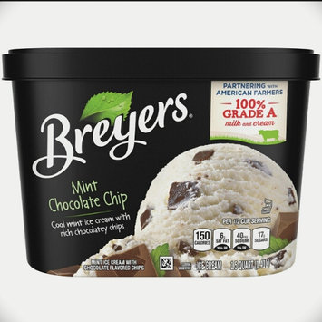 Photo of Breyers® Mint Chocolate Chip uploaded by Guadalupe G.